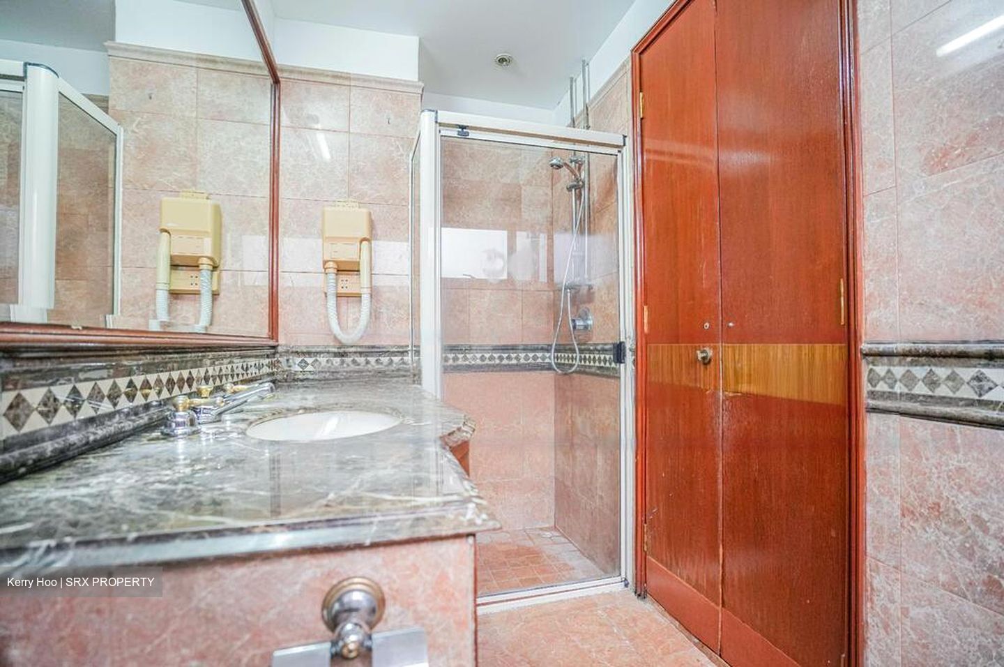 Dover Parkview (D5), Condominium #481103651